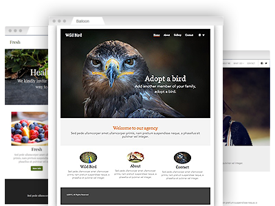 A variety of easy to re–design website themes